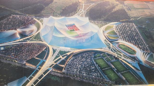 赛对阵尼日, 为世界杯比, http